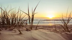 Andlig vägledning STOR