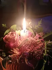 HUSRENING och BESÖK